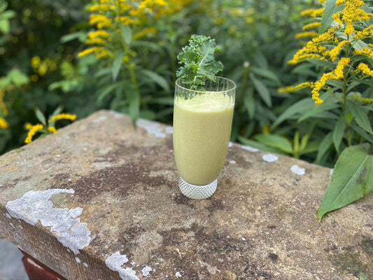 7 Superfoods zur Unterstützung Ihres Immunsystems - Britt's Superfoods DE