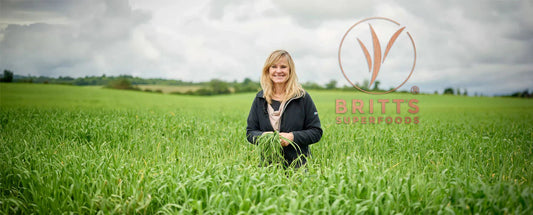 Die wichtigsten Vorzüge von Weizengrassaft und die besten Möglichkeiten, ihn zu genießen - Britt's Superfoods DE