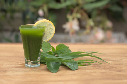 Kann Gerstengrassaft Entzündungen lindern? - Britt's Superfoods DE