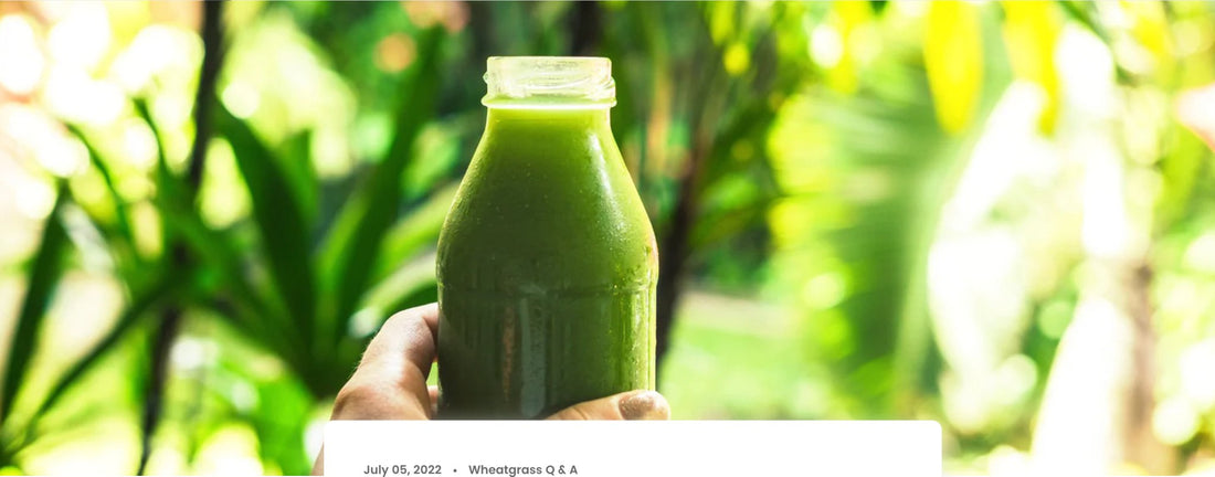 Kann man Weizengrassaft im Sommer trinken? - Britt's Superfoods DE