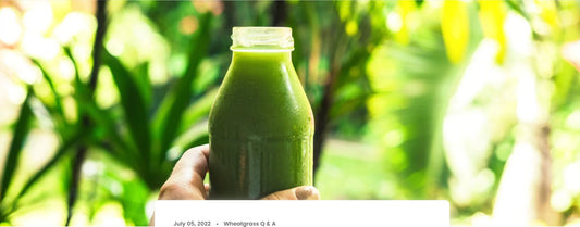 Kann man Weizengrassaft im Sommer trinken? - Britt's Superfoods DE