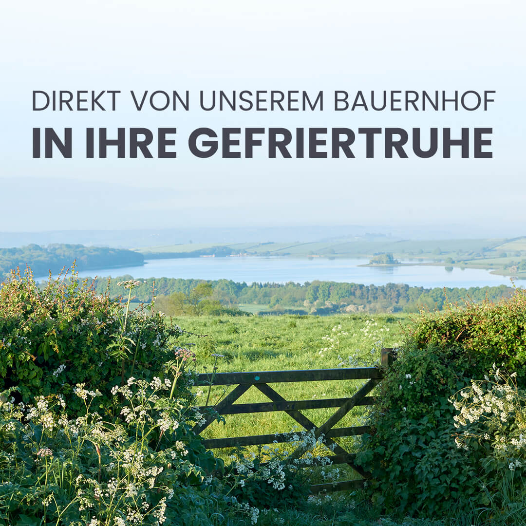 Weizengrassaft - Britt's Superfoods DE