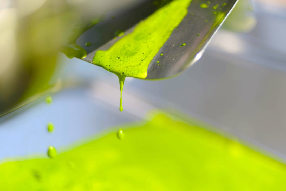 5 wissenswerte Dinge über Chlorophyll