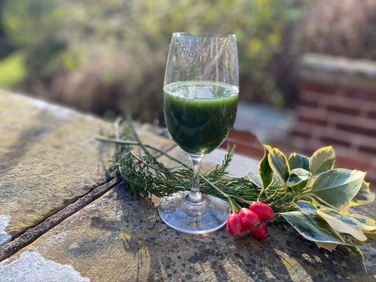 Grünes Blut-Mysterium: Das Rätsel des Weizengrassaftes enträtseln - Britt's Superfoods DE