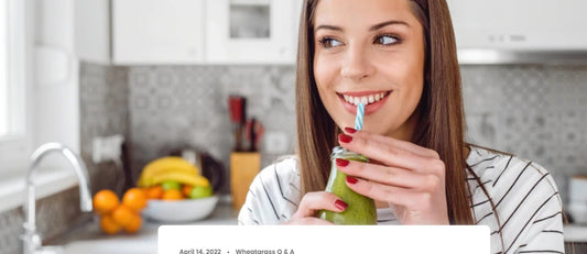 Wie lange hält Weizengras? - Britt's Superfoods DE