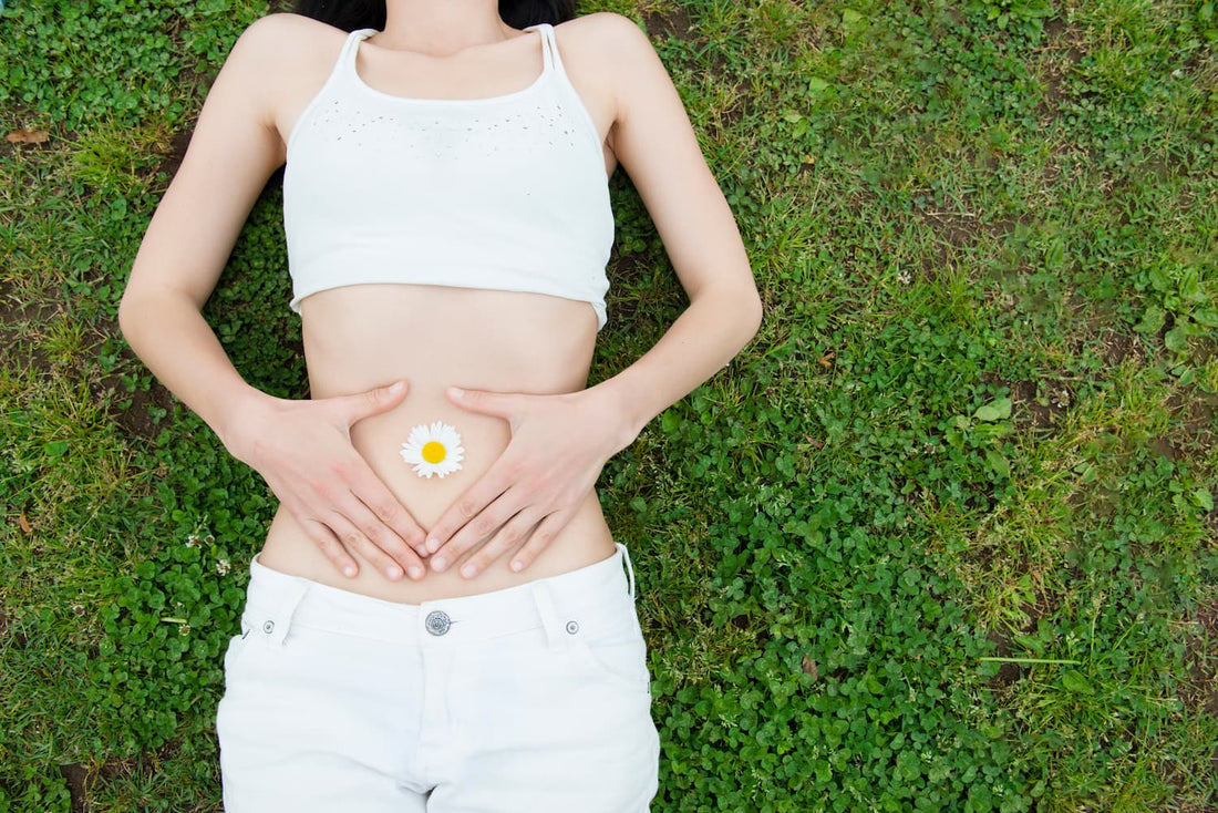 Wie Sie Ihre Darmgesundheit verbessern und reparieren können - Britt's Superfoods DE