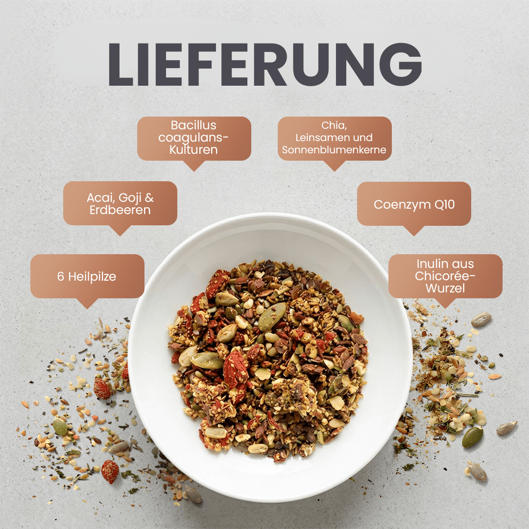 Darmgesundheit Plus+ - Britt's Superfoods DE