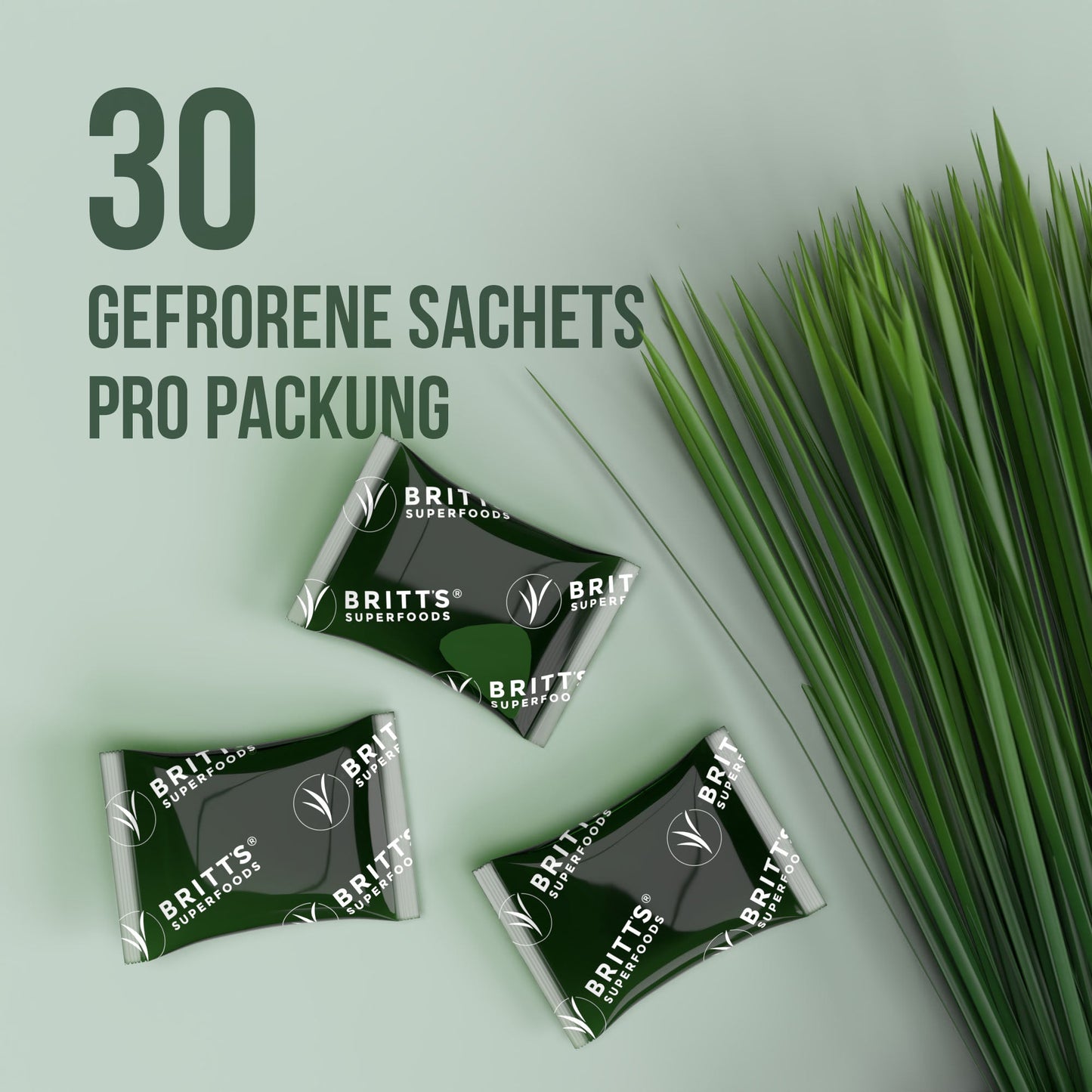 Weizengrassaft x 30 Sachets - Britt's Superfoods DE