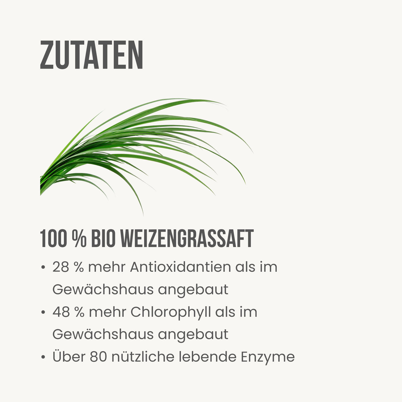 Weizengrassaft x 30 Sachets